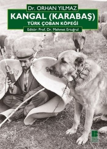 Sivas Kent Arşivi ■Kangal (Karabaş) Türk Çoban Köpeği■ Dr. Orhan Yılmaz